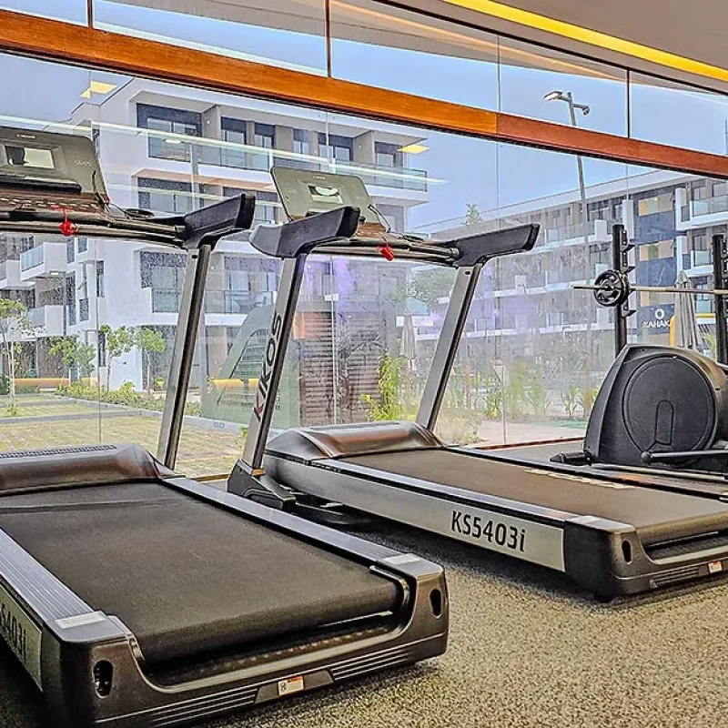 20231219_054734-17309297079103