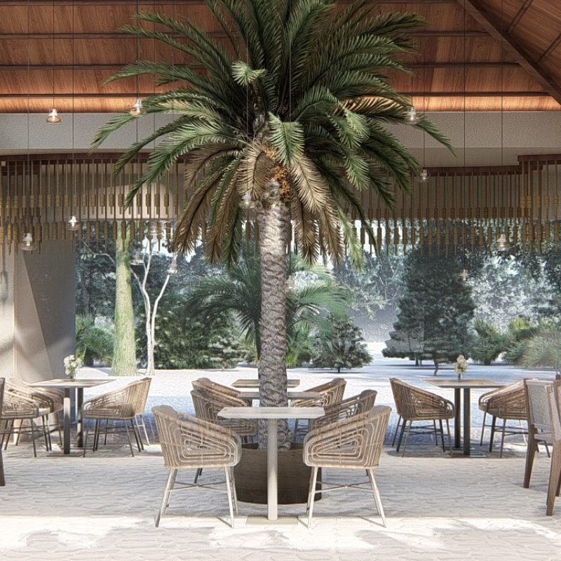 PCM5_RESTAURANTE_0_Photo-3